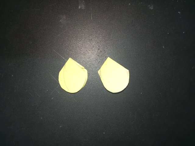 1000031872.jpg