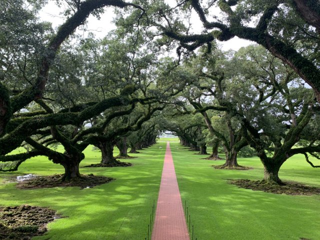 Whitney Plantation5.jpg