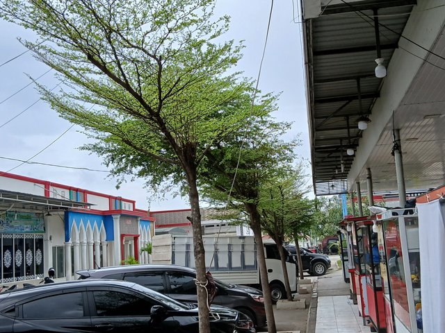 20250513_145050.jpg