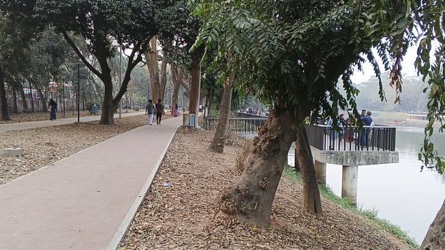IMG_20250227_172244_3.jpg