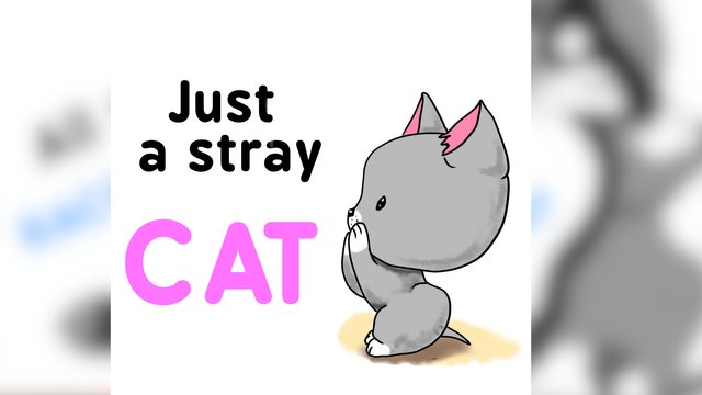 just a stray cat.jpg