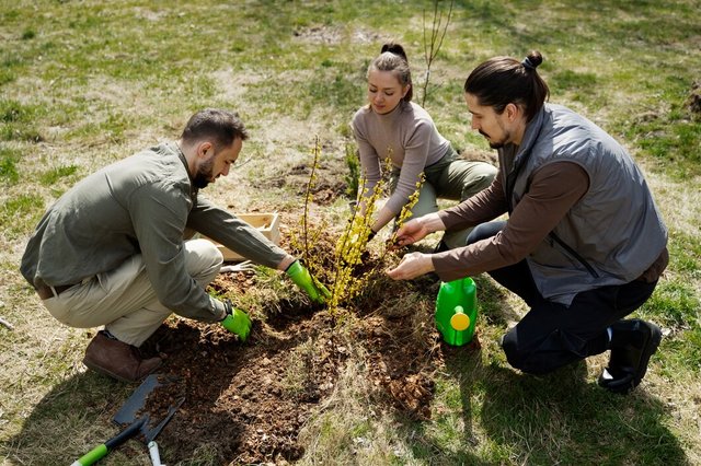 planting-trees-as-part-reforestation-process_23-2149409998.jpg