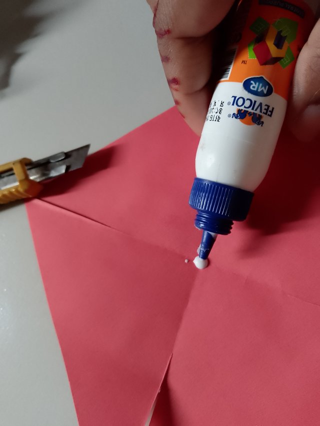 1000056477.jpg