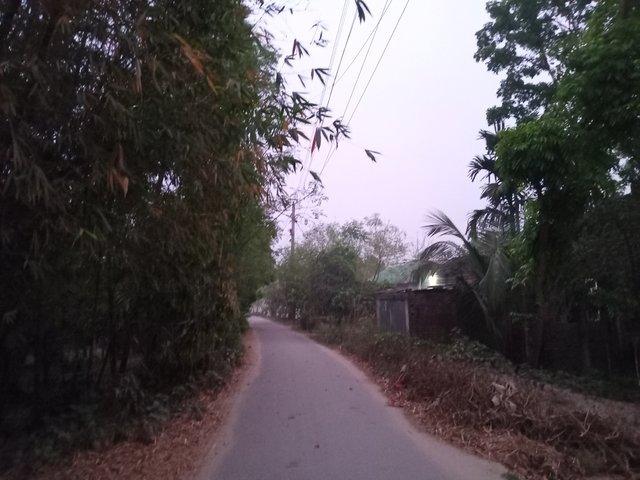 1000008631.jpg