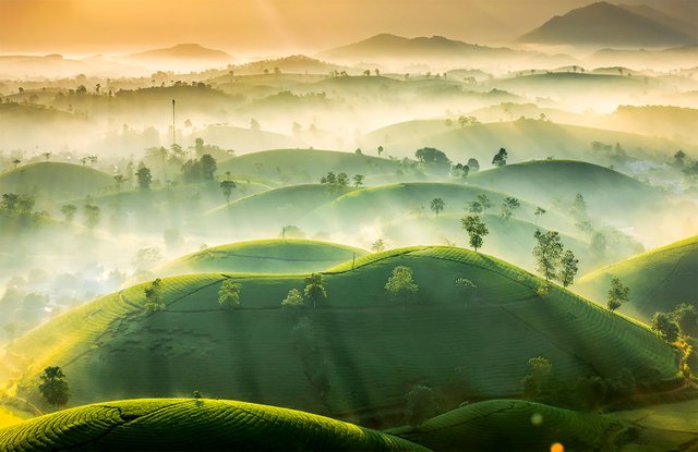weatheraward-fubiz-10.jpg