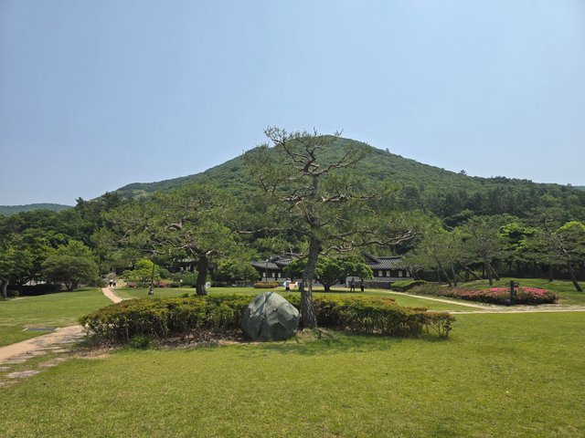 20250529_111543.jpg