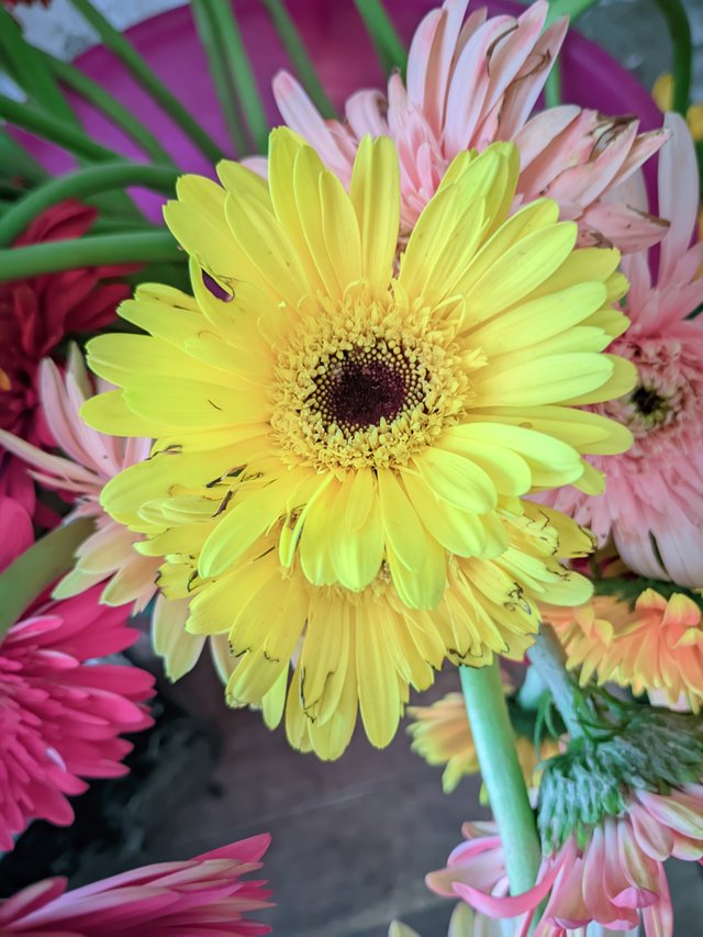 RIYAN_20230603_123329_👫Vivid Color .jpg