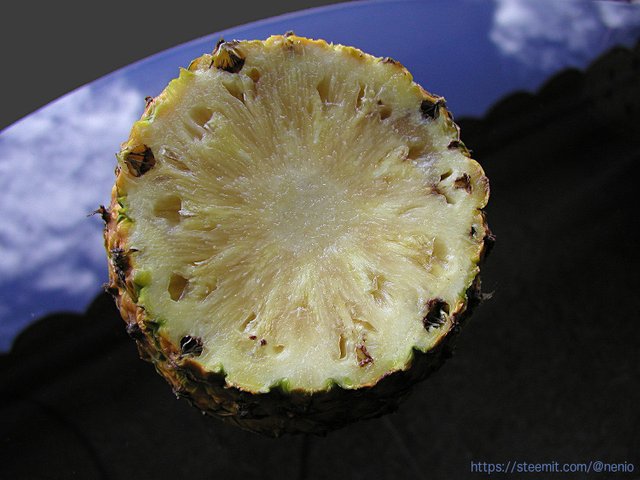 pineapple01.jpg