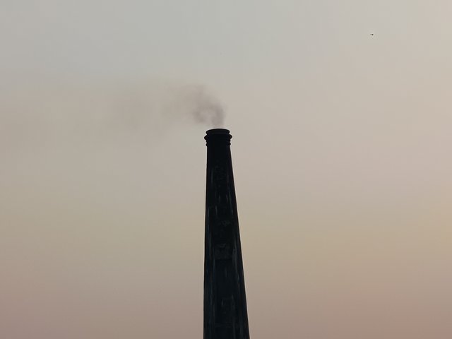 1000000459.jpg