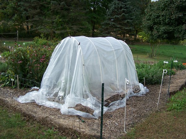 New Herb garden - plastic back on hoophouse crop Oct. 2018.jpg