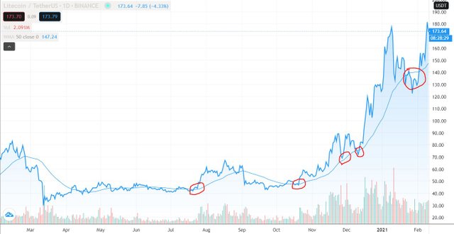 Litcoin Chart.JPG