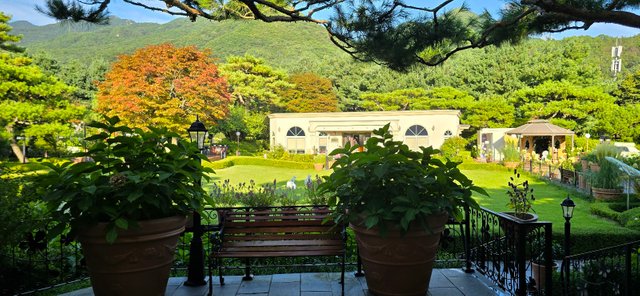 KakaoTalk_20240816_231528946_03.jpg