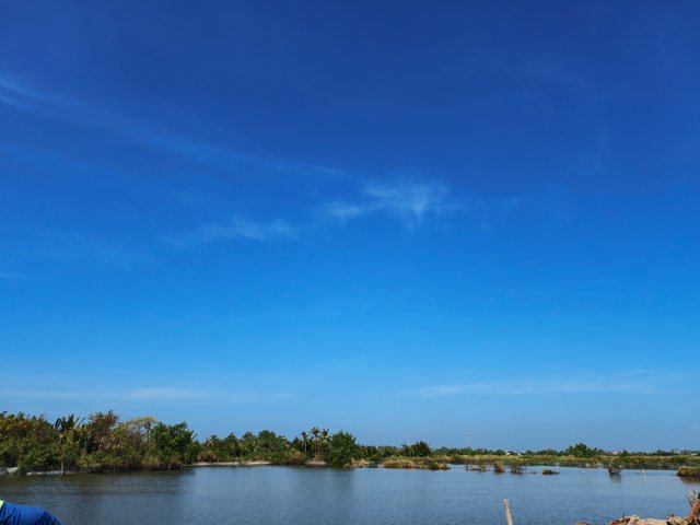 IMG_20250314_093204.jpg
