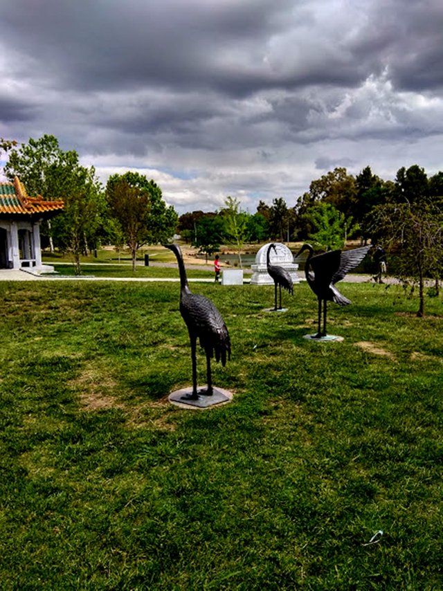 IMG_20181117_150805_HDR.jpg