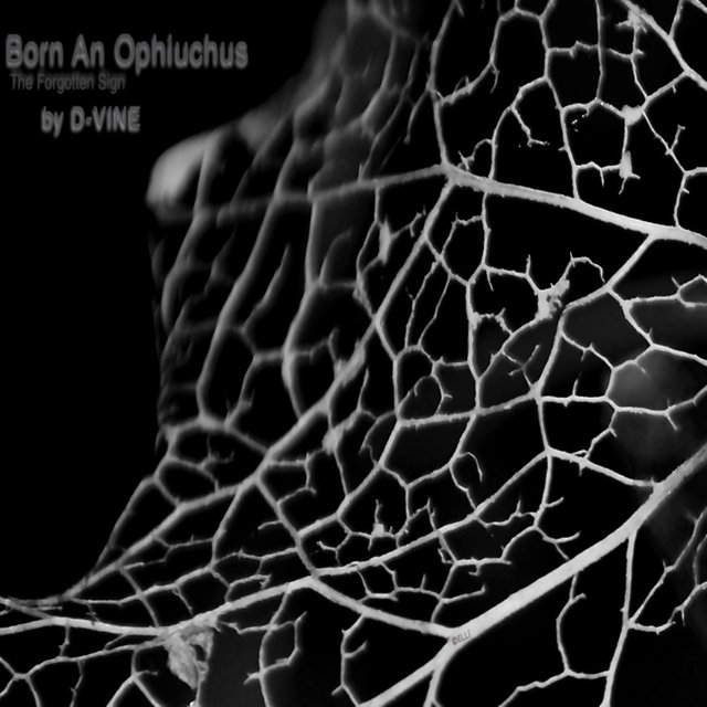 Born_An_Ophiuchus_-_D-VINE_-_The_Forgotton_Sign_1700x1700.jpg