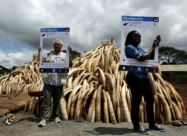 20160430134452697_animales_elefantes_cumbre_kenia_criminalidad_medioambiente_0.jpg