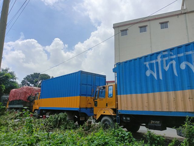 IMG20250815104819.jpg