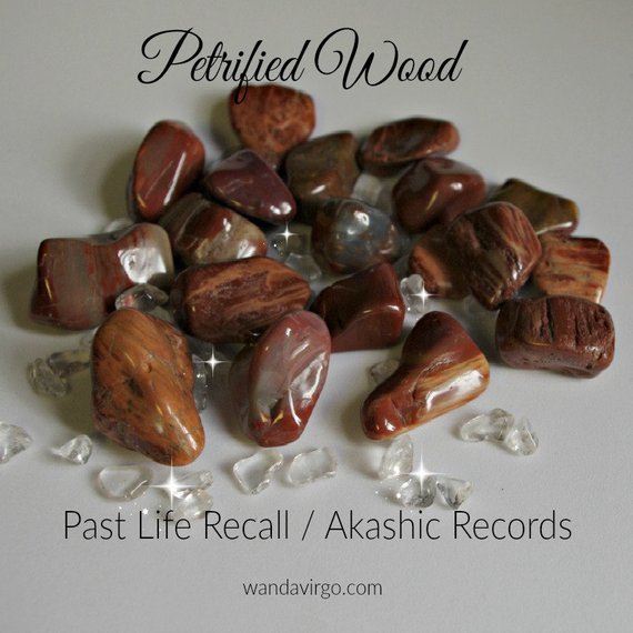 petrified wood akashic record busy.jpg