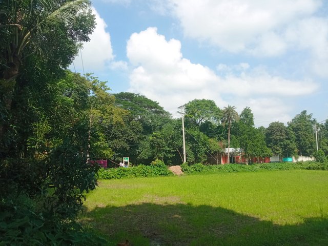 IMG_20250627_151311.jpg