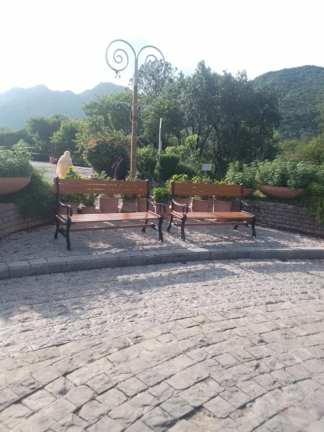 1000065710.jpg