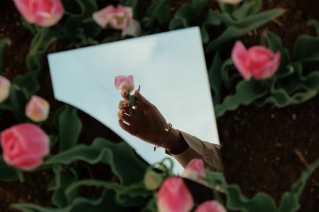 free-photo-of-mirror-among-roses-and-reflection-of-woman-hand-holding-flowers.jpeg