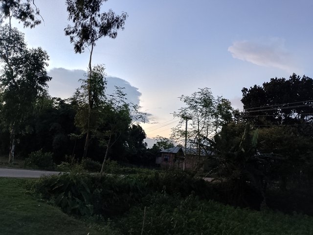1000042900.jpg