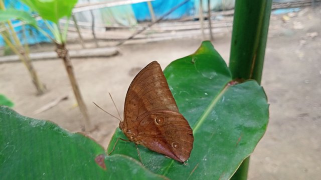 IMG20250520151944.jpg