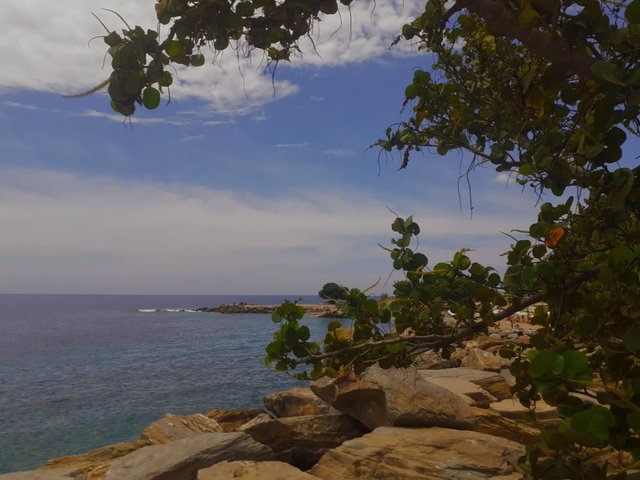 20250724_133249.jpg