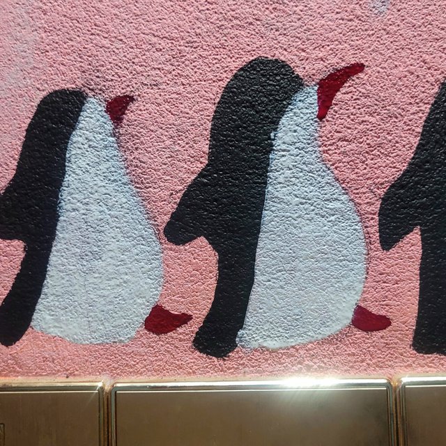 20250628_215603.jpg