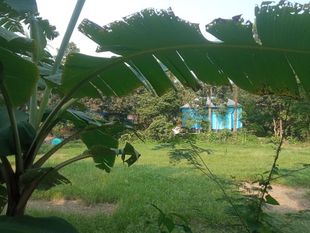 IMG_20250607_160107.jpg