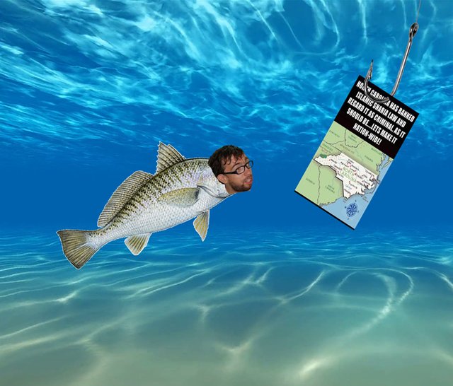 Joey Fish USA Sharia Ban Hook.jpeg