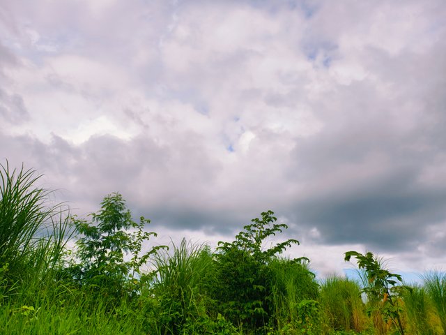 IMG_20250716_080730.jpg