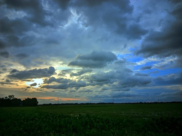 20250725_191514.jpg