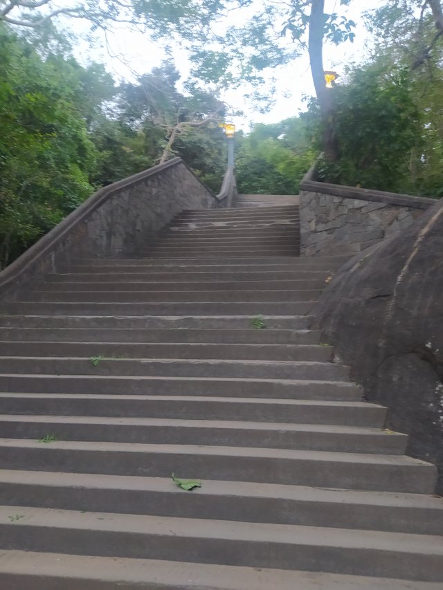 IMG_20250720_181752.jpg