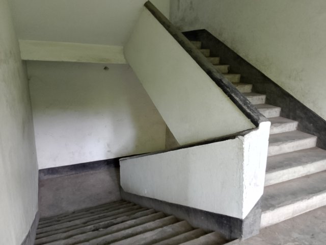 1000042156.jpg