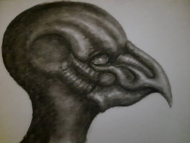 20250705_112107.jpg