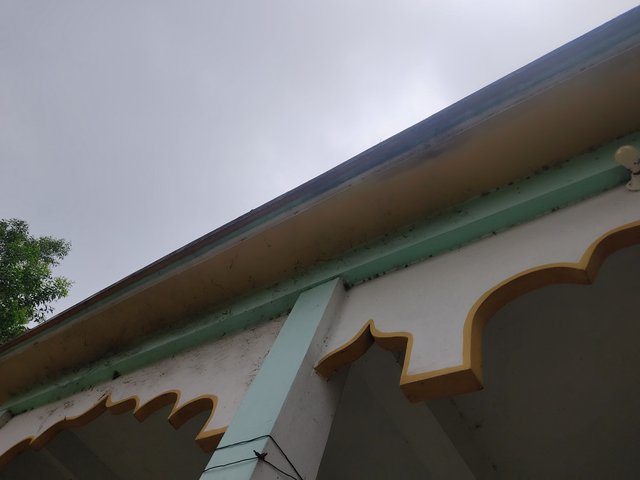 IMG_20250314_082546.jpg