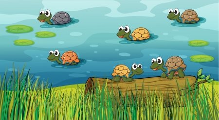 17410803-ilustración-de-un-grupo-de-tortugas-en-el-río.jpg