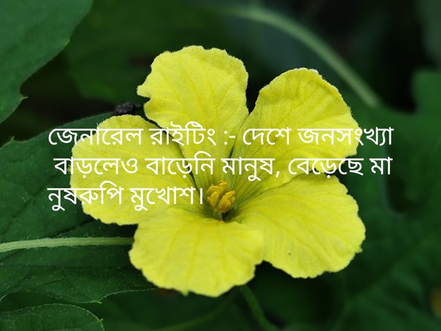 IMG_20250809_111001.jpg