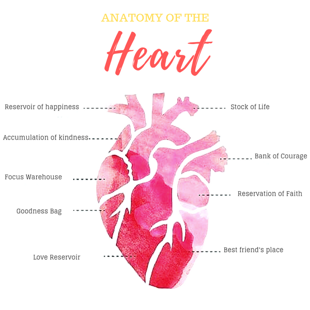 anatomia do (1).png