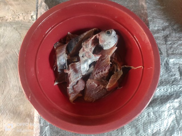 IMG20250704121242.jpg