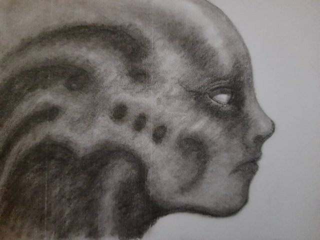 20250617_110752.jpg