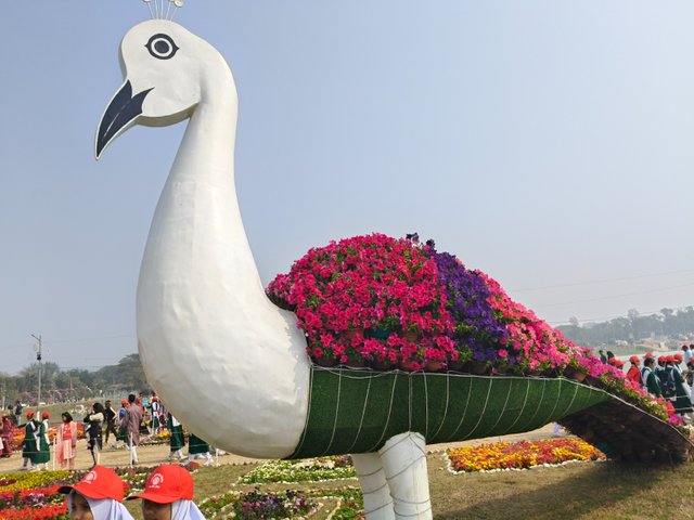 1000186578.jpg