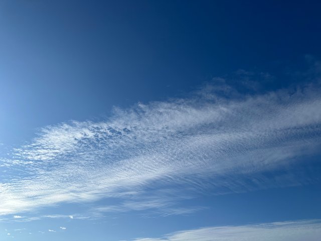 IMG_6845.jpeg
