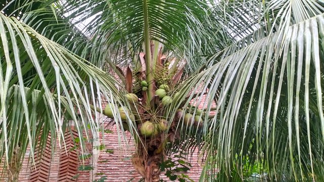 IMG20250804174629.jpg