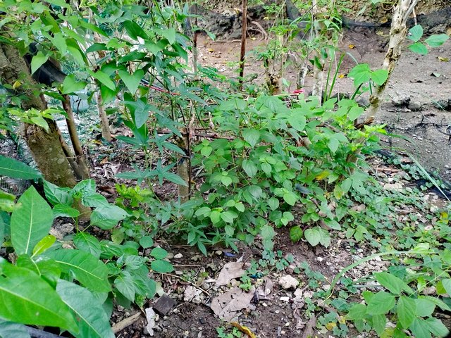 IMG_20250910_150746.jpg