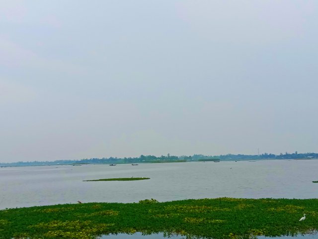 IMG_20250923_071322.jpg
