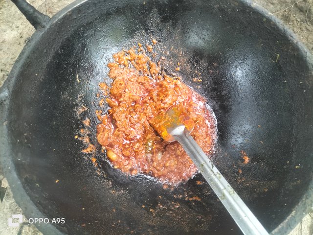IMG20250610105204.jpg