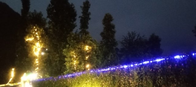 20250805_191549.jpg