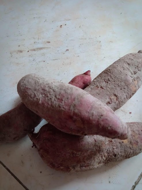 sweetpotato.jpg